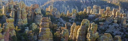 Picture of AZ, CHIRICAHUA NM PANORAMIC OF ROCKY LANDSCAPE