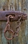 Picture of VA, ROANOKE, EXPLORE PARK RUSTY BARN DOOR LOCK