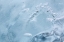 Picture of AK, GLACIER BAY NP, MCBRIDE GLACIER ICE DETAIL