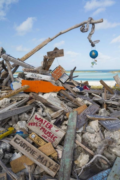 Picture of BAHAMAS, EXUMA ISLAND DRIFTWOOD ON BOOBOO HILL