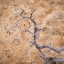 Picture of UT, DIXIE NF TWISTED DEAD BRANCH AND ROCK WALL