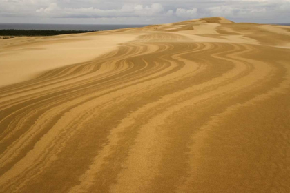Picture of OR, SIUSLAW NF, UMPQUA DUNES PATTERNS IN DUNES