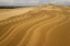 Picture of OR, SIUSLAW NF, UMPQUA DUNES PATTERNS IN DUNES