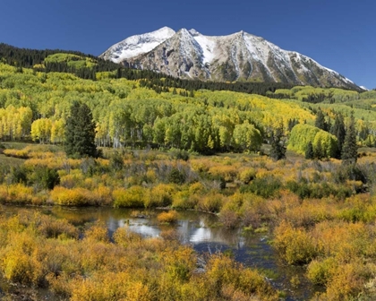 Picture of CO, EAST BECKWITH MOUNTAIN MOUNTAIN AND FOREST