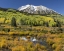Picture of CO, EAST BECKWITH MOUNTAIN MOUNTAIN AND FOREST
