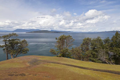 Picture of WA, SAN JUANS SCENIC OVERLOOK ON STUART ISLAND