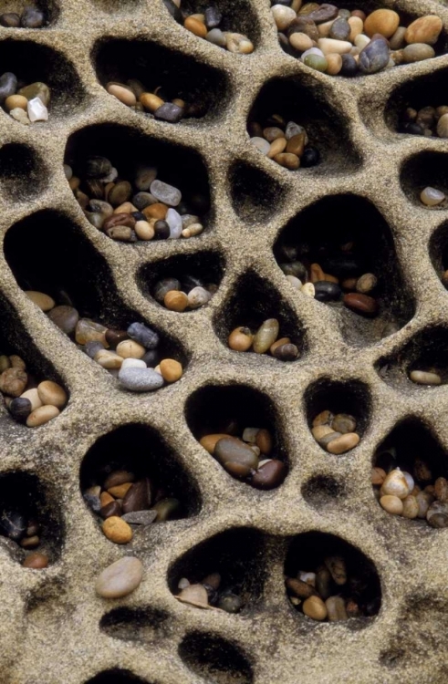 Picture of CALIFORNIA PEBBLES COLLECTED IN ROCK CAVITIES