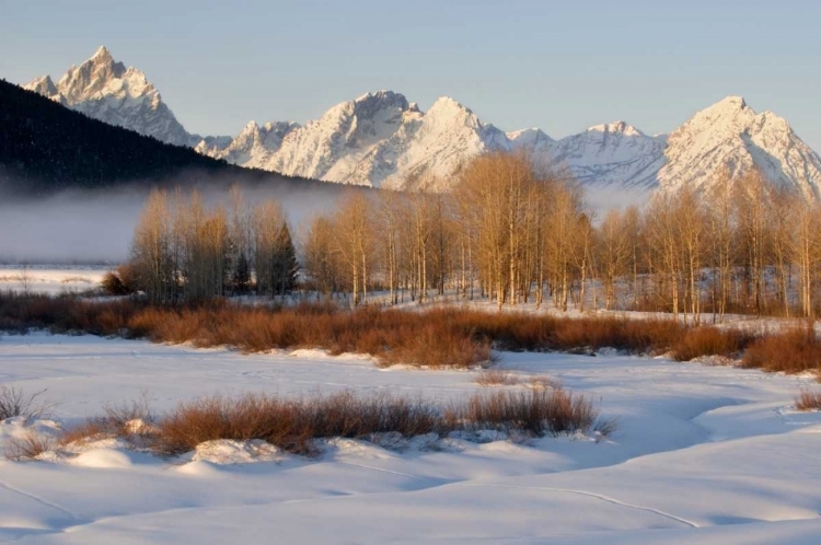 Picture of WYOMING, GRAND TETONS NP OXBOW BEND IN WINTER
