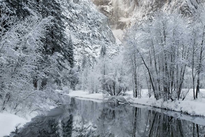 Picture of CA, YOSEMITE WINTER LANDSCAPE OF MERCED RIVER