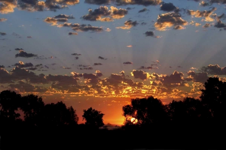 Picture of USA, COLORADO, BOULDER SUNRISE AT SAWHILL PONDS