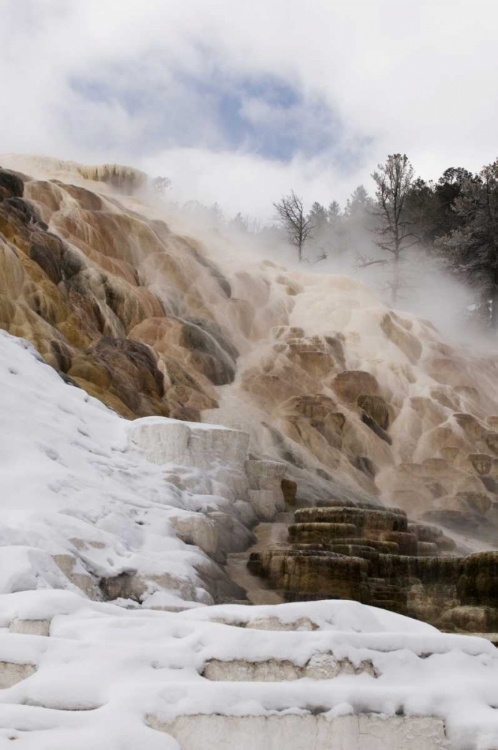 Picture of WYOMING, YELLOWSTONE MAMMOTH HOT SPRINGS SCENIC
