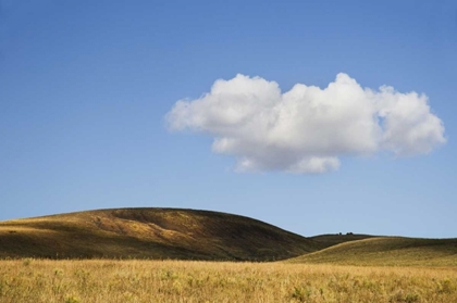 Picture of COLORADO, SAN JUAN MTS LANDSCAPE OF WILSON MESA