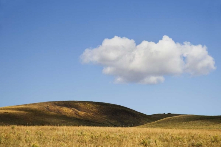 Picture of COLORADO, SAN JUAN MTS LANDSCAPE OF WILSON MESA