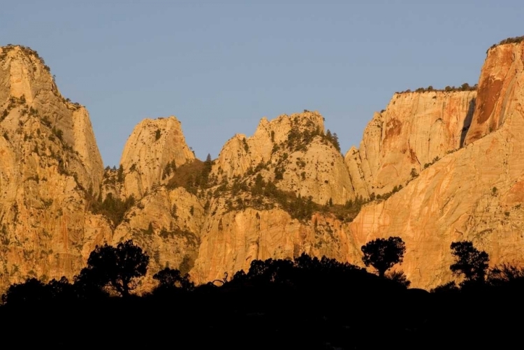 Picture of UT, ZION NP TOWERS OF THE VIRGIN RIVER, SUNRISE