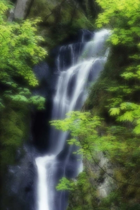 Picture of CANADA, BC, LANGFORD WATERFALL AT GOLDSTREAM PP