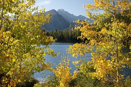 Picture of CO, ROCKY MTS BEAR LAKE AND LONGS PEAK, AUTUMN