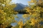Picture of CO, ROCKY MTS BEAR LAKE AND LONGS PEAK, AUTUMN