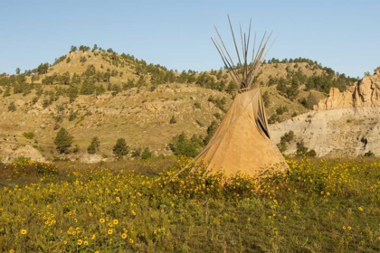 Picture of SD, WILD HORSE SANCTUARY SCENIC WITH TEEPEE