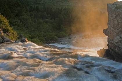 Picture of MT, GLACIER NP FOG ALONG SWIFTCURRENT CREEK