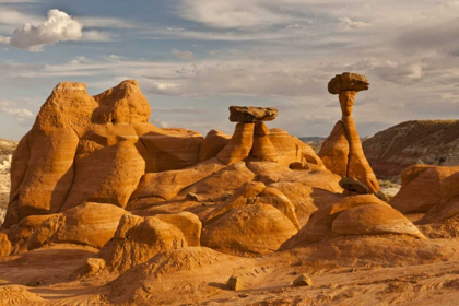 Picture of UT, GRAND STAIRCASE ESCALANTE NM TOADSTOOLS