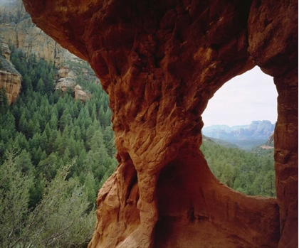 Picture of AZ, SEDONA NATURAL SANDSTONE AND BACKCOUNTRY