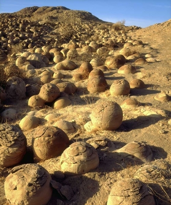 Picture of CA, SAN DIEGO SANDSTONE CONCRETIONS PATTERNS