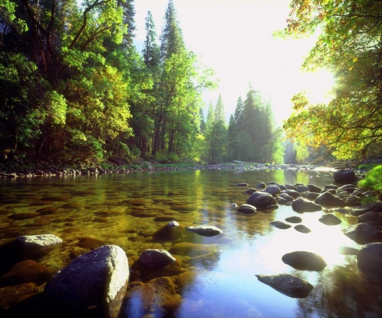 Picture of USA, CALIFORNIA, YOSEMITE NP THE MERCED RIVER