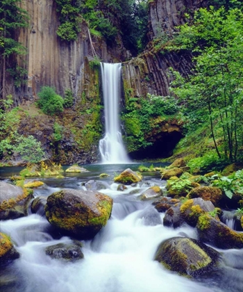 Picture of OREGON, TOKETEE WATERFALL AND BASALT FORMATION