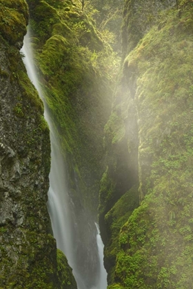 Picture of OR, COLUMBIA GORGE OVERLOOK OF ELOWAH FALLS