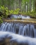 Picture of WA, GIFFORD PINCHOT NF WATERFALL AND FOREST