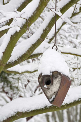 Picture of WA, SEABECK HEART-SHAPED BIRD HOUSE IN SNOW