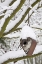 Picture of WA, SEABECK HEART-SHAPED BIRD HOUSE IN SNOW