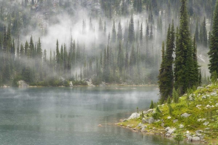 Picture of CANADA, BC, REVELSTOKE NP FOG ON LAKE EVA