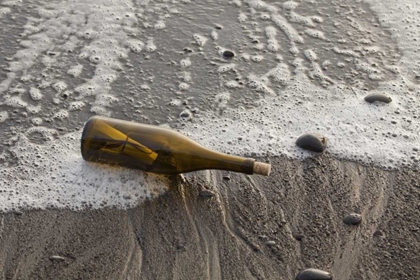 Picture of WA, OLYMPIC NP MESSAGE IN A BOTTLE ON SHORE