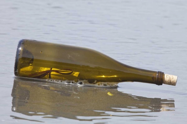 Picture of WA, OLYMPIC NP MESSAGE IN A BOTTLE ON SHORE