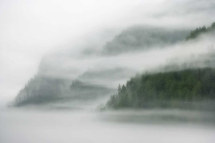 Picture of CANADA, BC, MIST AND FOG SHROUD THE ISLAND