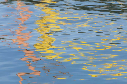 Picture of CA, SAN DIEGO ABSTRACT REFLECTIONS IN WATER