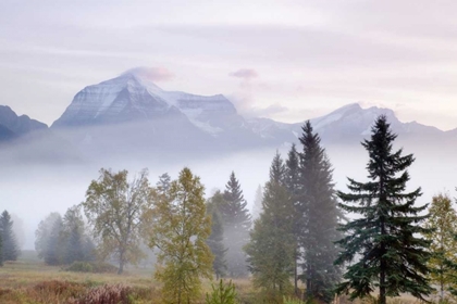 Picture of CANADA, BC, MOUNT ROBSON PP FOGGY SUNRISE