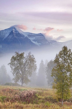 Picture of CANADA, BC, MOUNT ROBSON PP FOGGY SUNRISE