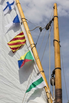 Picture of WA, BOAT SAIL AND FLAGS AT BAINBRIDGE ISLAND