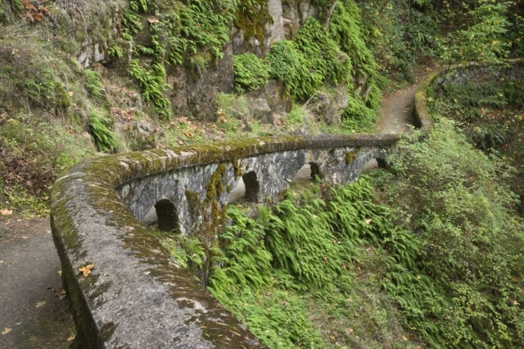 Picture of OR, COLUMBIA GORGE STONE WALL NEXT TO TRAIL