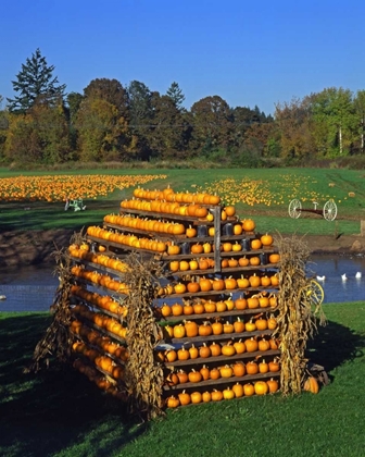 Picture of OR, WILLAMETTE VALLEY HOUSE MADE OF PUMPKINS