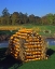 Picture of OR, WILLAMETTE VALLEY HOUSE MADE OF PUMPKINS