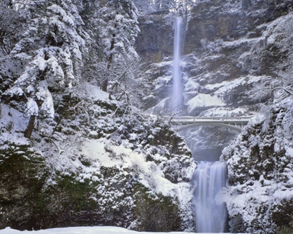 Picture of OR, COLUMBIA GORGE WINTER AT MULTNOMAH FALLS