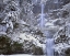 Picture of OR, COLUMBIA GORGE WINTER AT MULTNOMAH FALLS