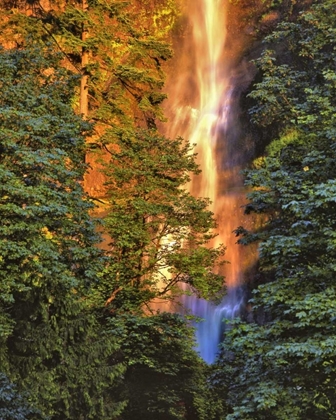 Picture of OR, COLUMBIA GORGE SUNSET ON MULTNOMAH FALLS