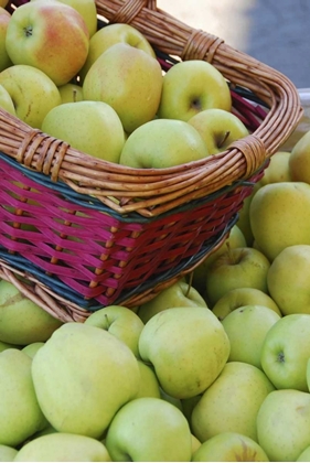 Picture of OR, HOOD RIVER VALLEY BASKET OF GREEN APPLES