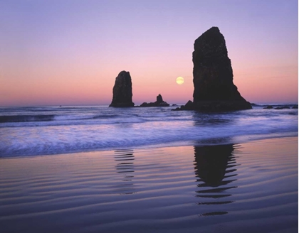 Picture of OR, CANNON BEACH, MOONSET BETWEEN THE NEEDLES