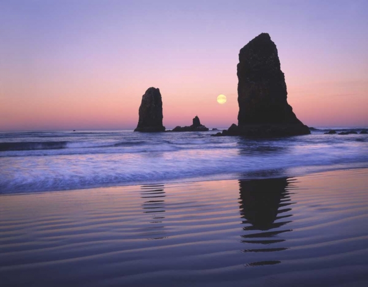 Picture of OR, CANNON BEACH, MOONSET BETWEEN THE NEEDLES