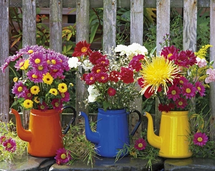 Picture of OR, PORTLAND ANTIQUE COFFEEPOTS WITH FLOWERS